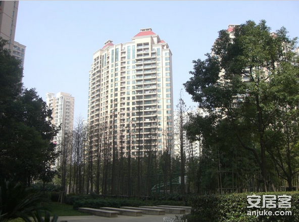 芙蓉江路388弄(仁恒河滨花园) 芙蓉江路388弄(仁恒河滨花园)